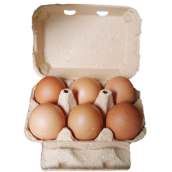 Oeufs bio de Quissac