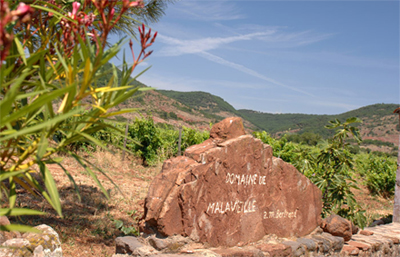 Domaine de Malavieille Domaine de Malavieille