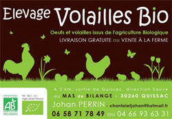 Johan Perrin Johan Perrin