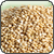 Quinoa