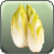 Endives