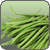 Haricot vert