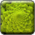 Chou Romanesco