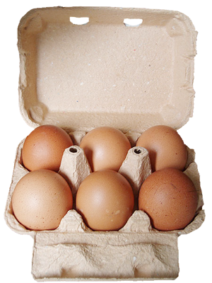 œufs bio